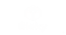BLOKY